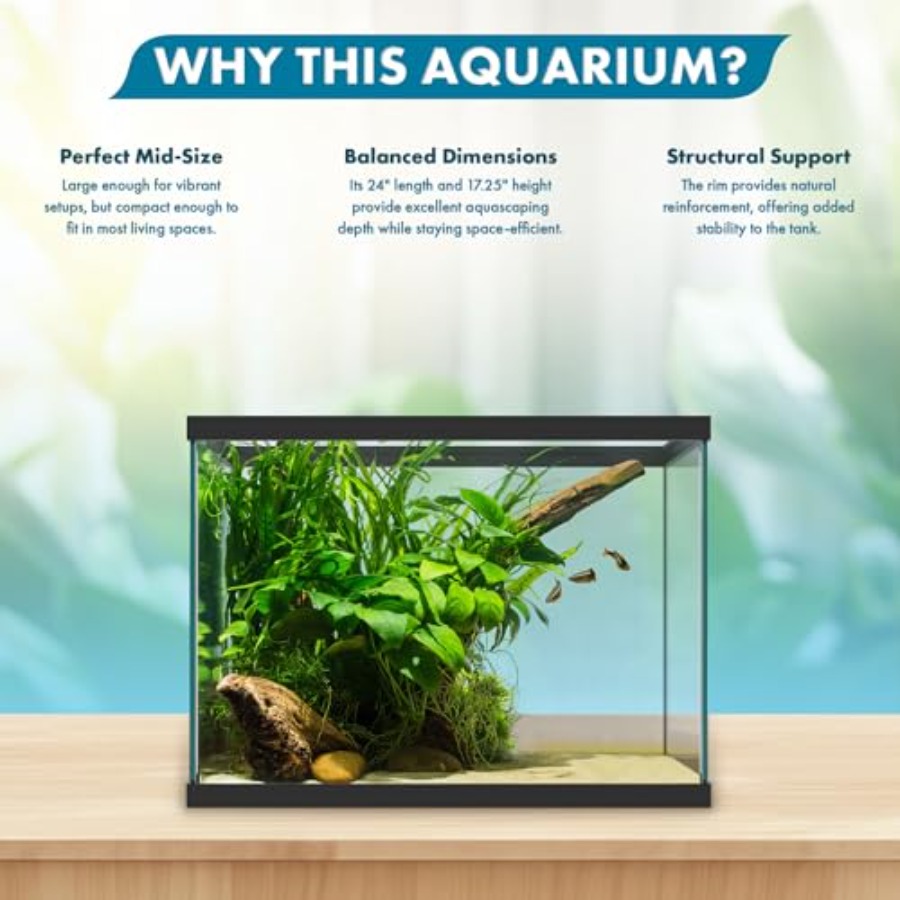 Acquario in vetro da 20 gallon - Aquarium Xxl recensione e prezzo
