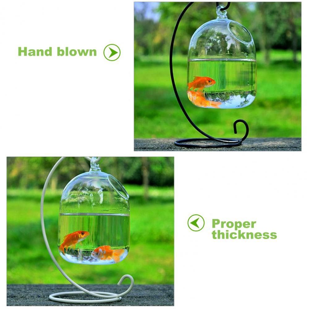 Decorazione da parete per acqu - Aquarium Fish Jar recensione e prezzo