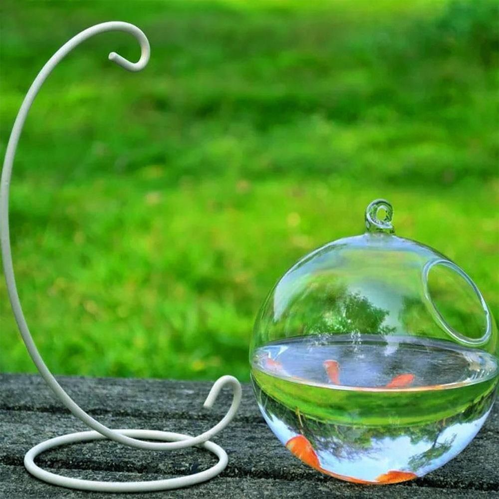 Decorazione da parete per acqu - Aquarium Fish Jar recensione e prezzo