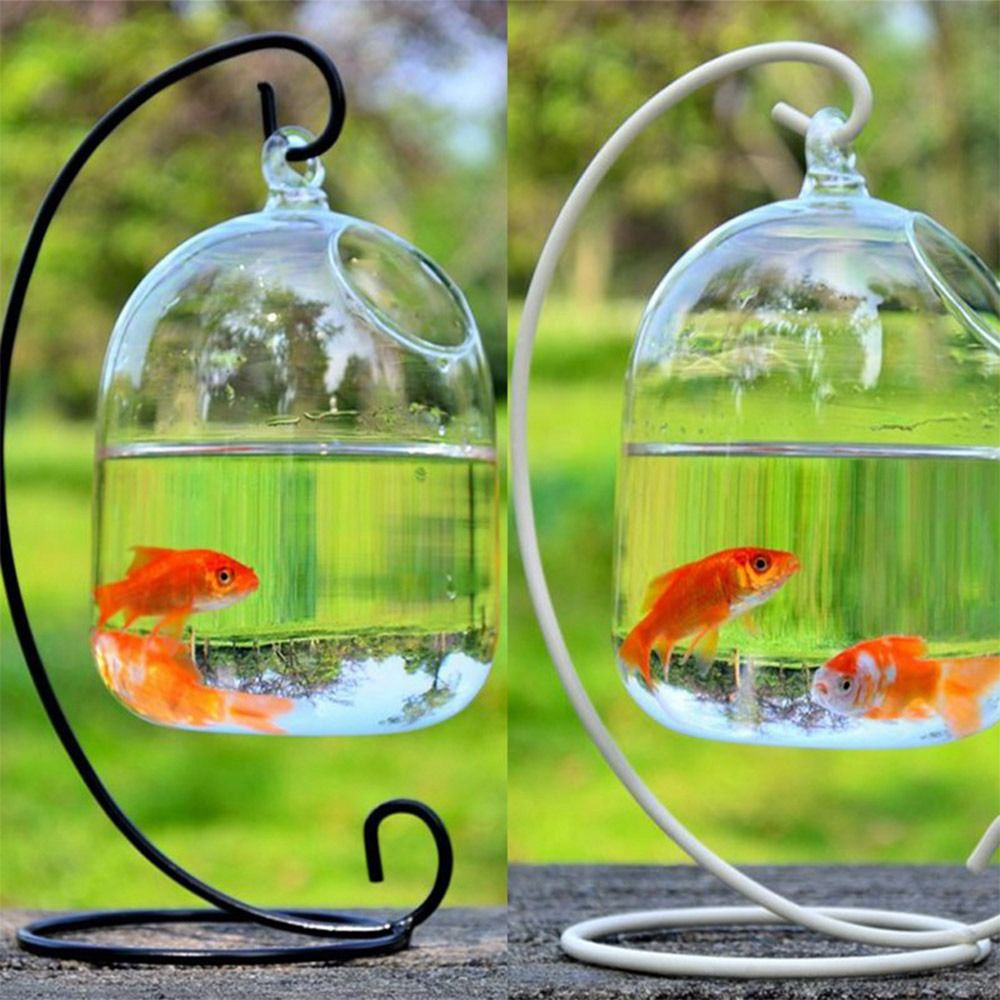 Decorazione da parete per acqu - Aquarium Fish Jar recensione e prezzo