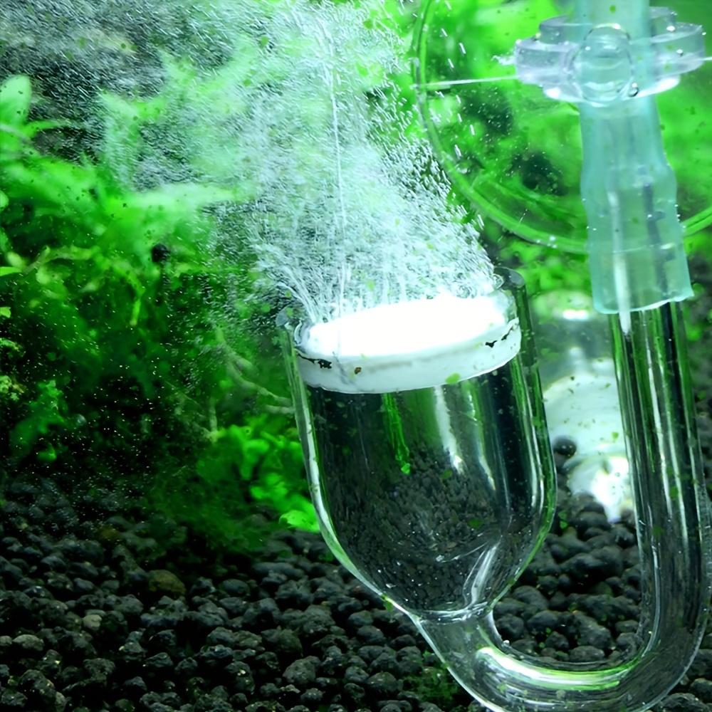 Acquario Vetro CO2 Atomizzator - Aquarium Fish And Supplies recensione e prezzo