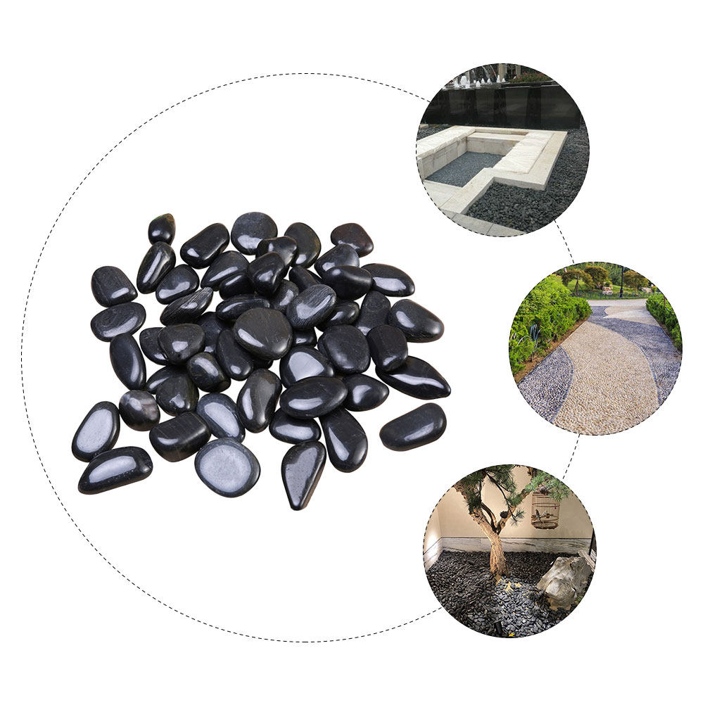 1 Set di Ciottoli per Acquario - Aquarium Fish Black recensione e prezzo