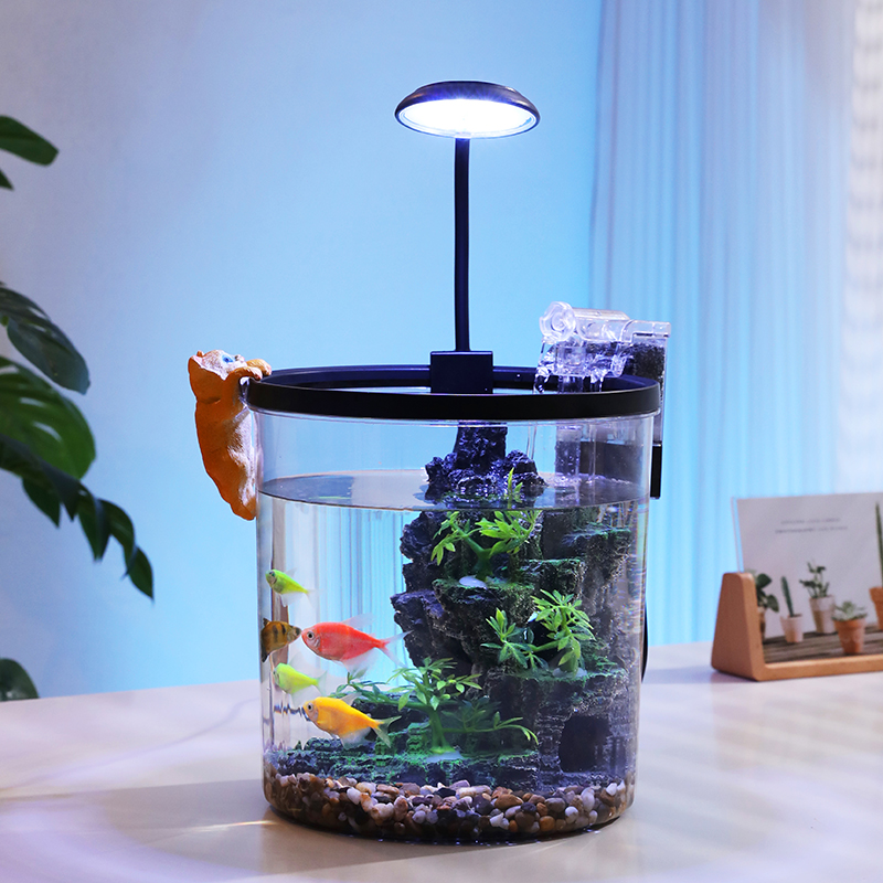 Ciotola per pesci rossi rotond - Aquarium Fish Low Maintenance recensione e prezzo