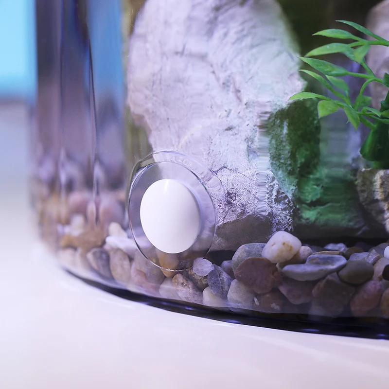 Ciotola per pesci rossi rotond - Aquarium Fish Low Maintenance recensione e prezzo