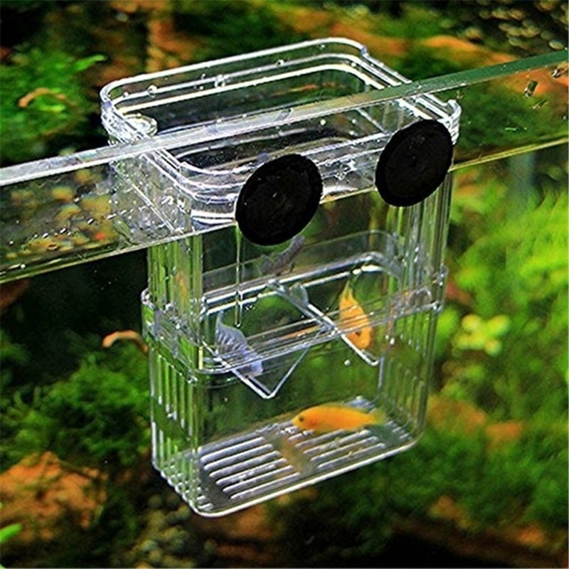 Acquario per pesci multifunzio - Aquarium Fish Jar recensione e prezzo