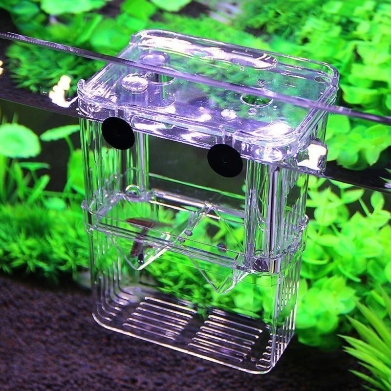 Acquario per pesci multifunzio - Aquarium Fish Jar recensione e prezzo