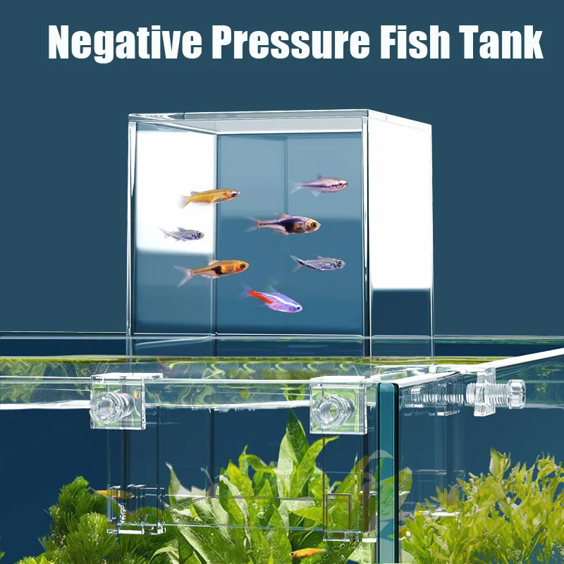 Serbatoi per acquari creativi  - Aquarium Fish Jar recensione e prezzo