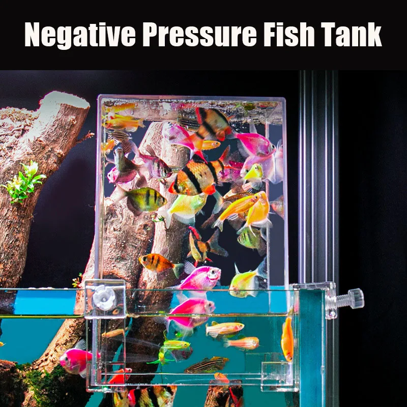 Serbatoi per acquari creativi  - Aquarium Fish Jar recensione e prezzo