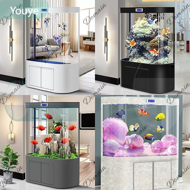 Acquario ZL di Grandi Dimensio - Aquarium Fish Low Maintenance recensione e prezzo