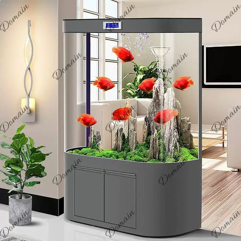 Acquario ZL di Grandi Dimensio - Aquarium Fish Low Maintenance recensione e prezzo