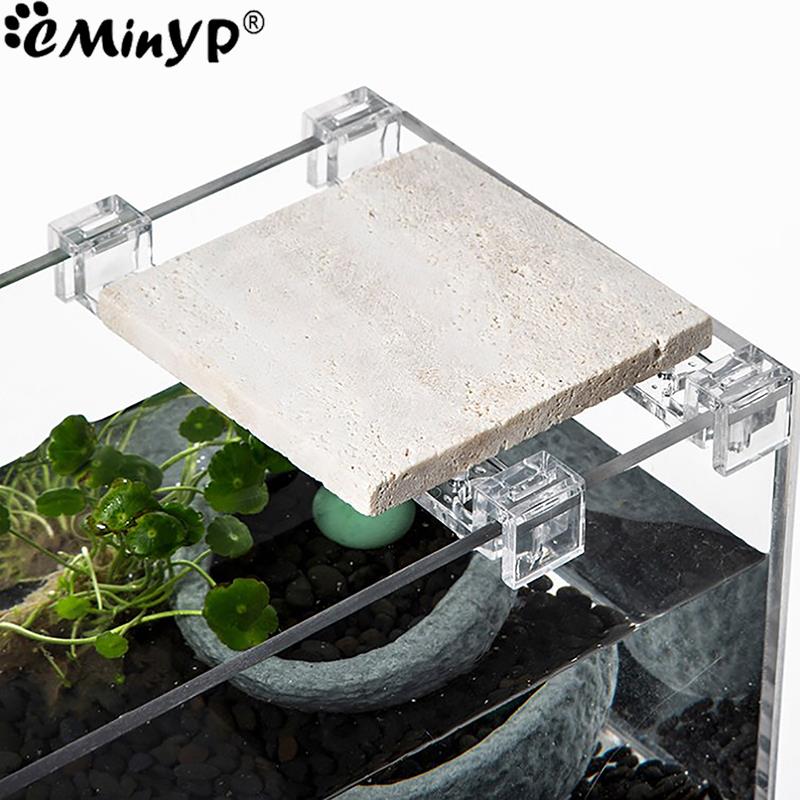 4 pezzi clip acriliche per acq - Aquarium Fish And Supplies recensione e prezzo
