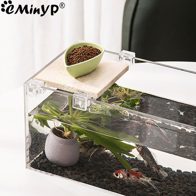 4 pezzi clip acriliche per acq - Aquarium Fish And Supplies recensione e prezzo