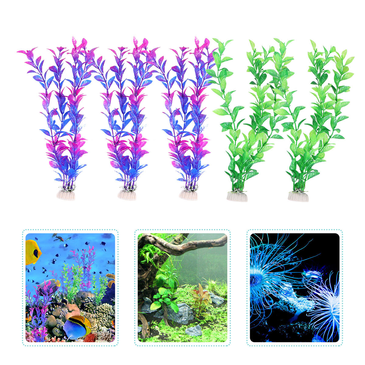 Set di 10 Piante Acquatiche Fi - Aquarium Fish Low Maintenance recensione e prezzo