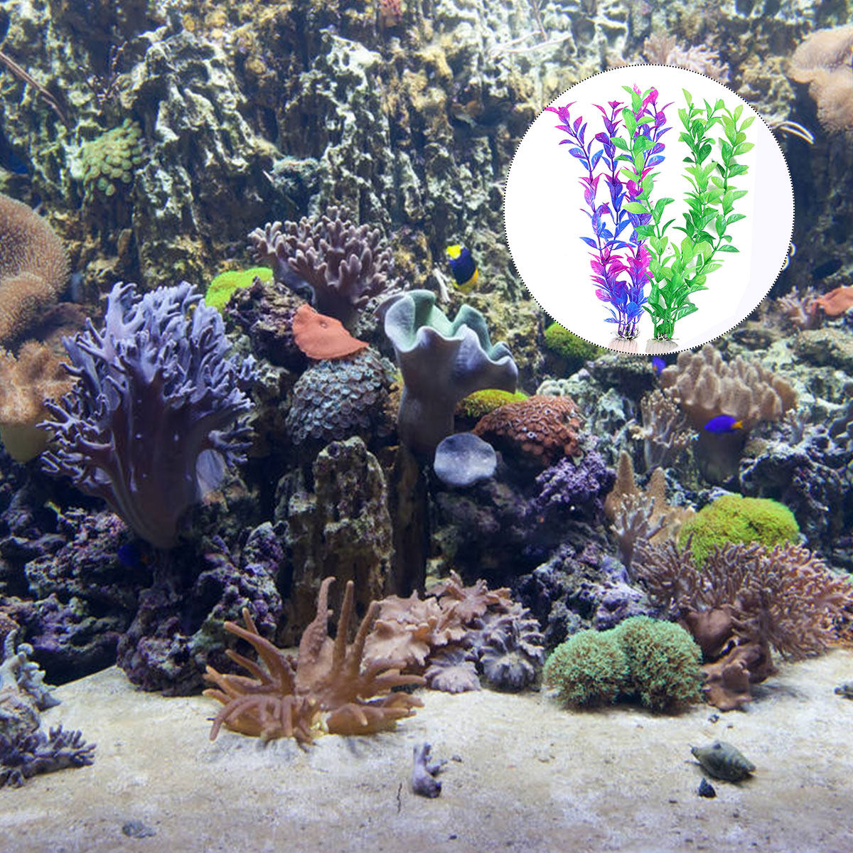 Set di 10 Piante Acquatiche Fi - Aquarium Fish Low Maintenance recensione e prezzo