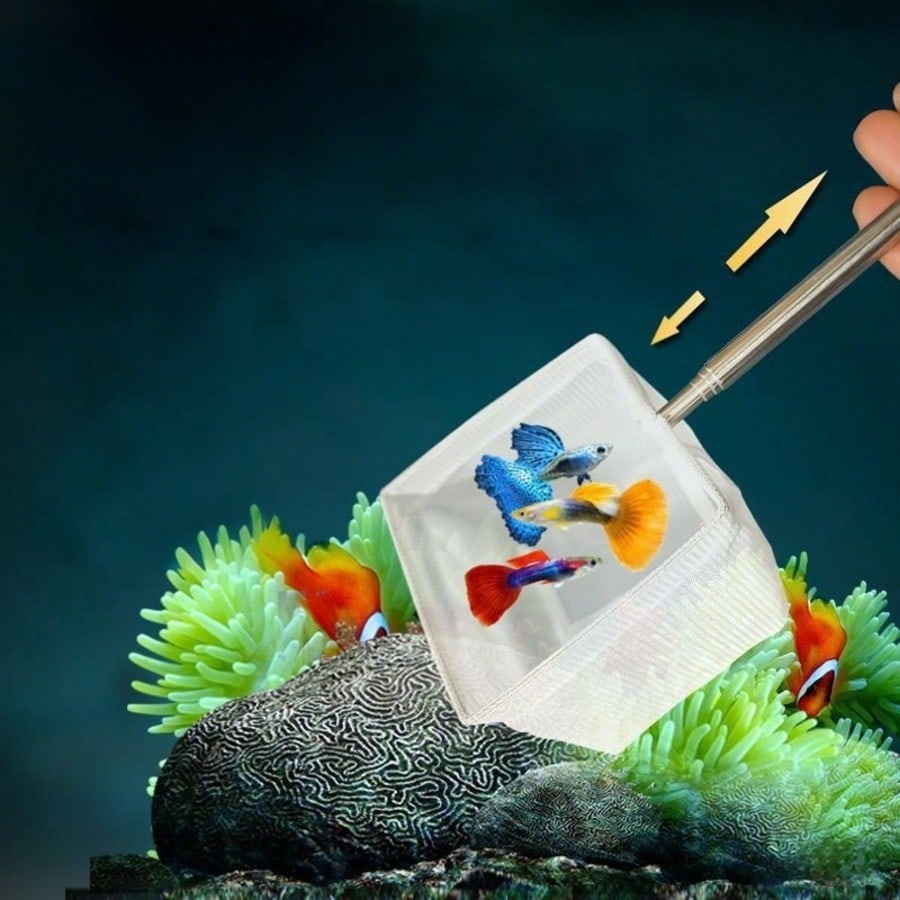 Rete per Pesci da Acquario - R - Aquarium Fish Food recensione e prezzo