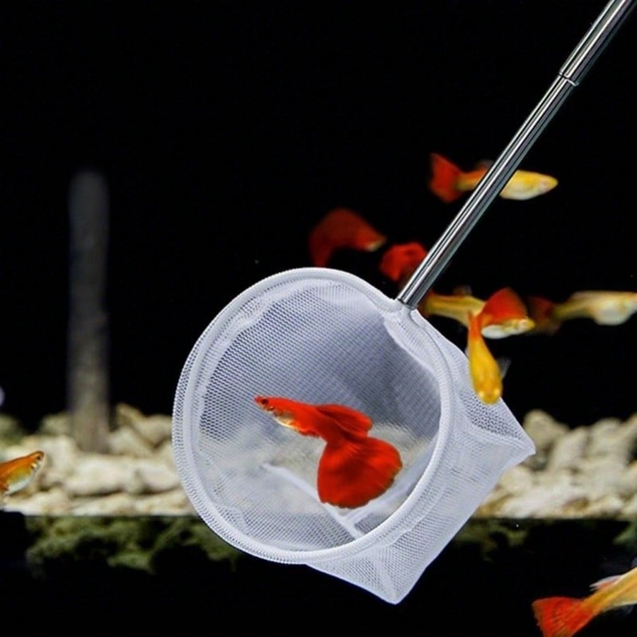 Rete per Pesci da Acquario - R - Aquarium Fish Food recensione e prezzo