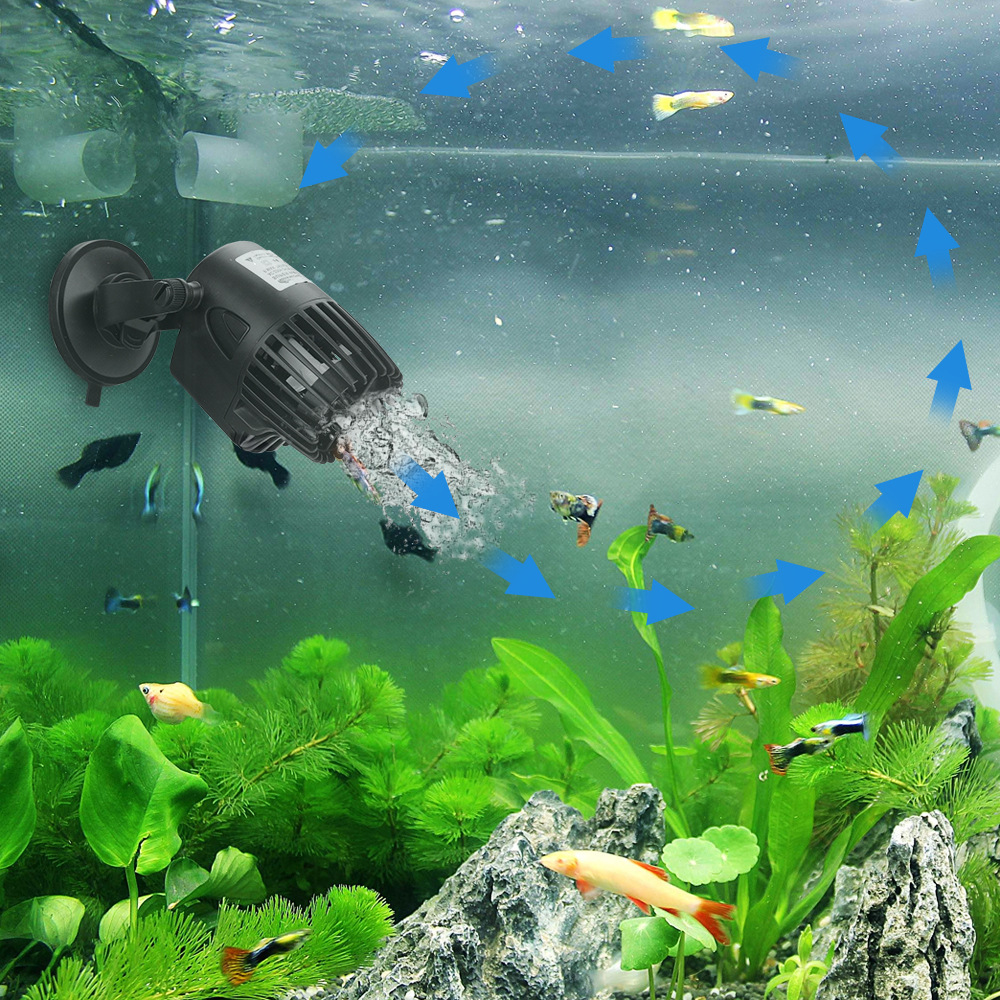 Acquario serbatoio di pesce Wa - Aquarium Fish And Supplies recensione e prezzo