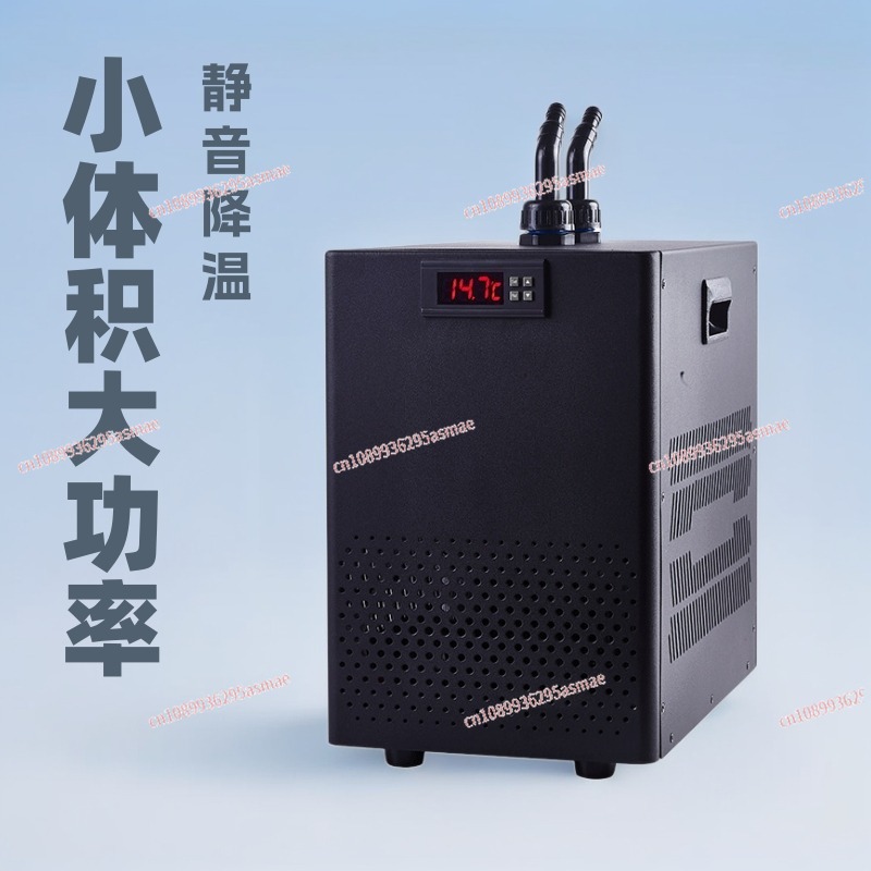 Mini refrigeratore per acquari - Aquarium Fish Small recensione e prezzo