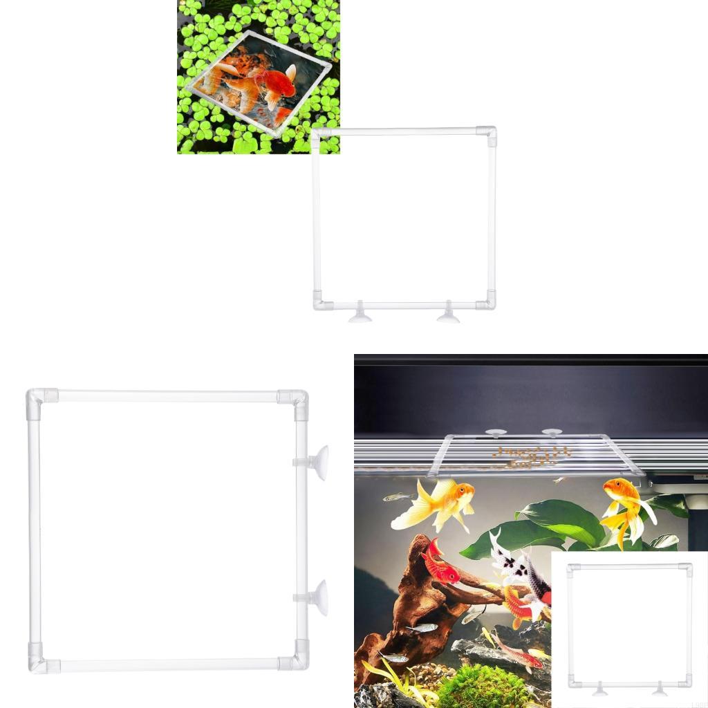 L9BE Antideriva Acquari Distri - Aquarium Fish Food recensione e prezzo