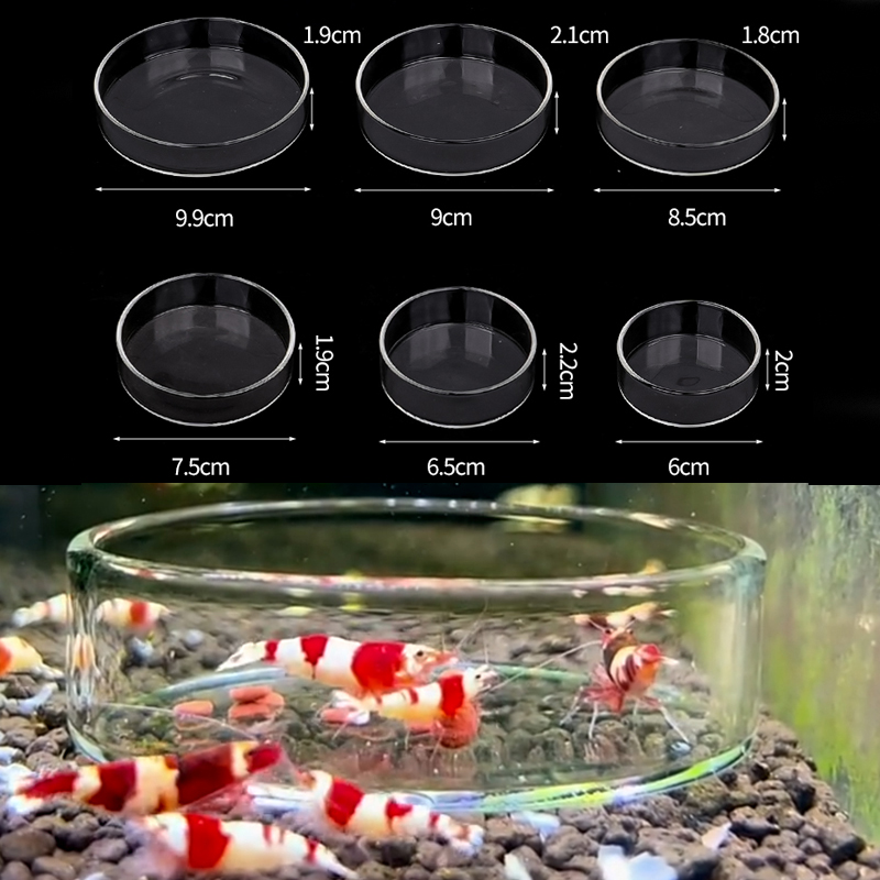 Piatto di alimentazione per ga - Aquarium Fish Food recensione e prezzo