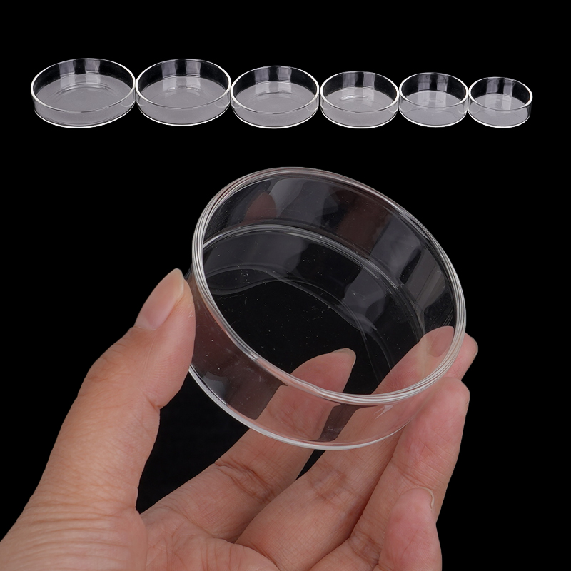 Piatto di alimentazione per ga - Aquarium Fish Food recensione e prezzo