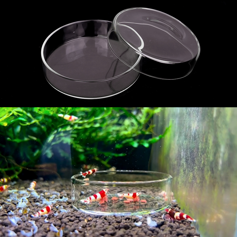 Piatto di alimentazione per ga - Aquarium Fish Food recensione e prezzo