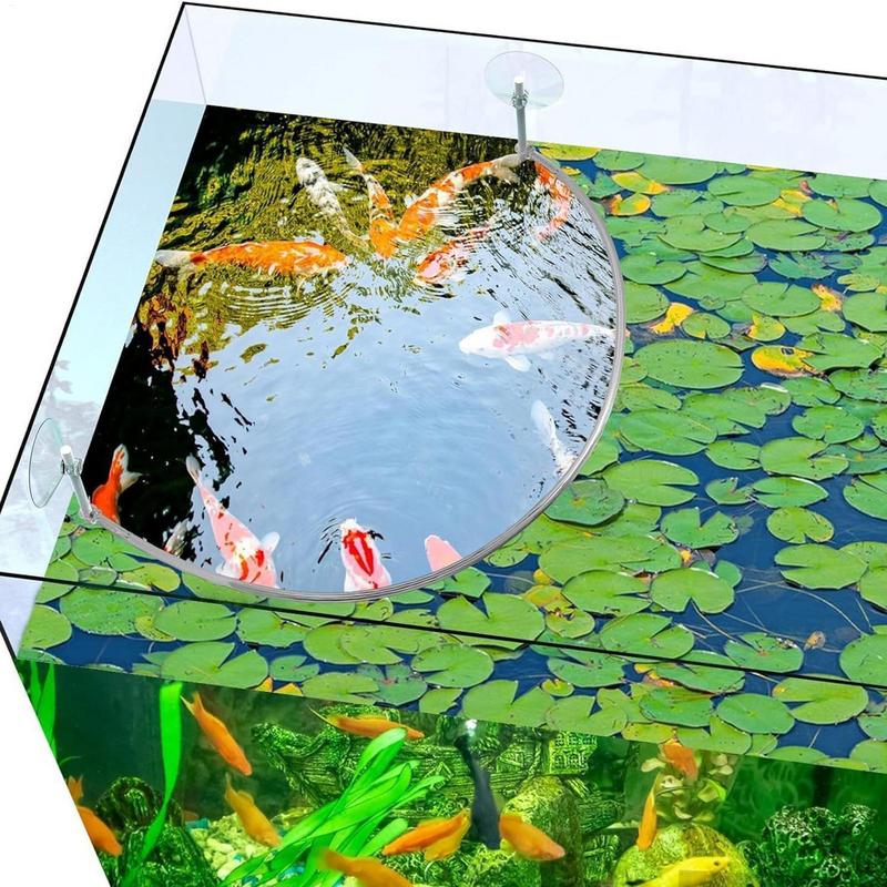 Anello di alimentazione per pe - Aquarium Fish Food recensione e prezzo
