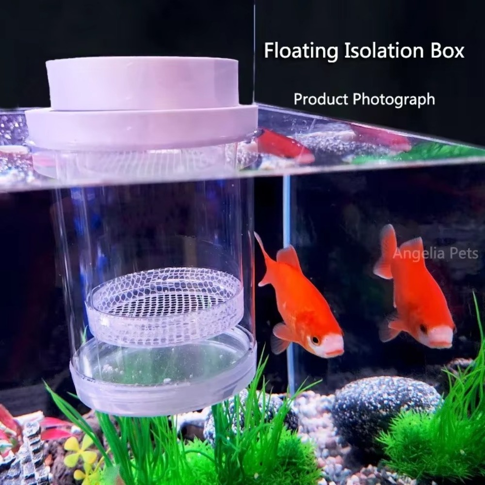 Scatola di isolamento per alle - Aquarium Fish Jar recensione e prezzo