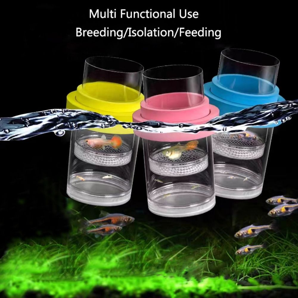 Scatola di isolamento per alle - Aquarium Fish Jar recensione e prezzo