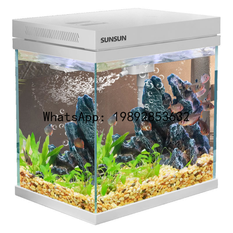 Acquario ultra trasparente - a - Aquarium Fish Low Maintenance recensione e prezzo