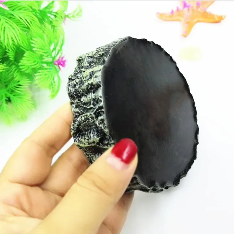 Pet Rettile Alimentatore Cioto - Aquarium Fish Food recensione e prezzo