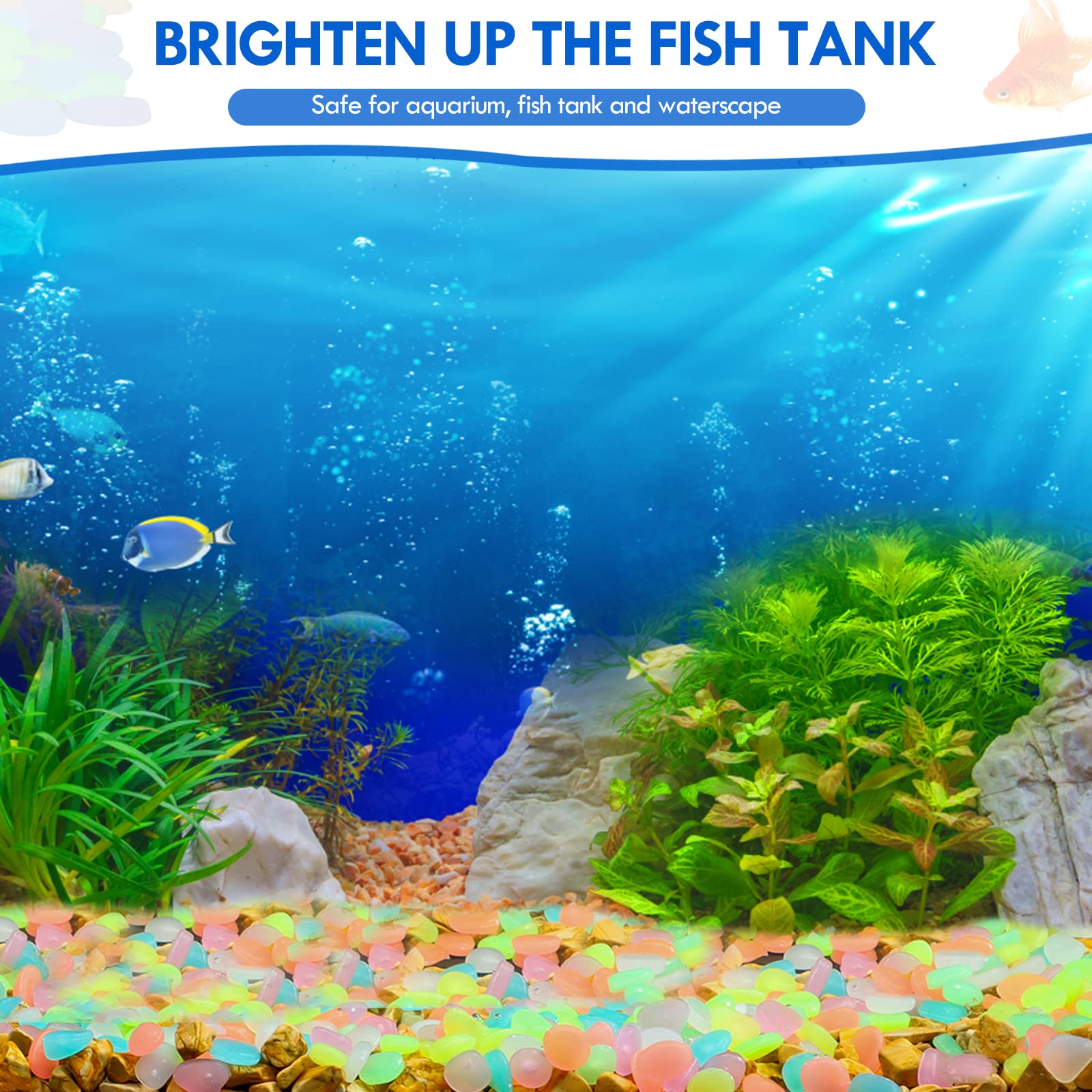 100 pezzi che si illuminano al - Aquarium Fish Saltwater recensione e prezzo