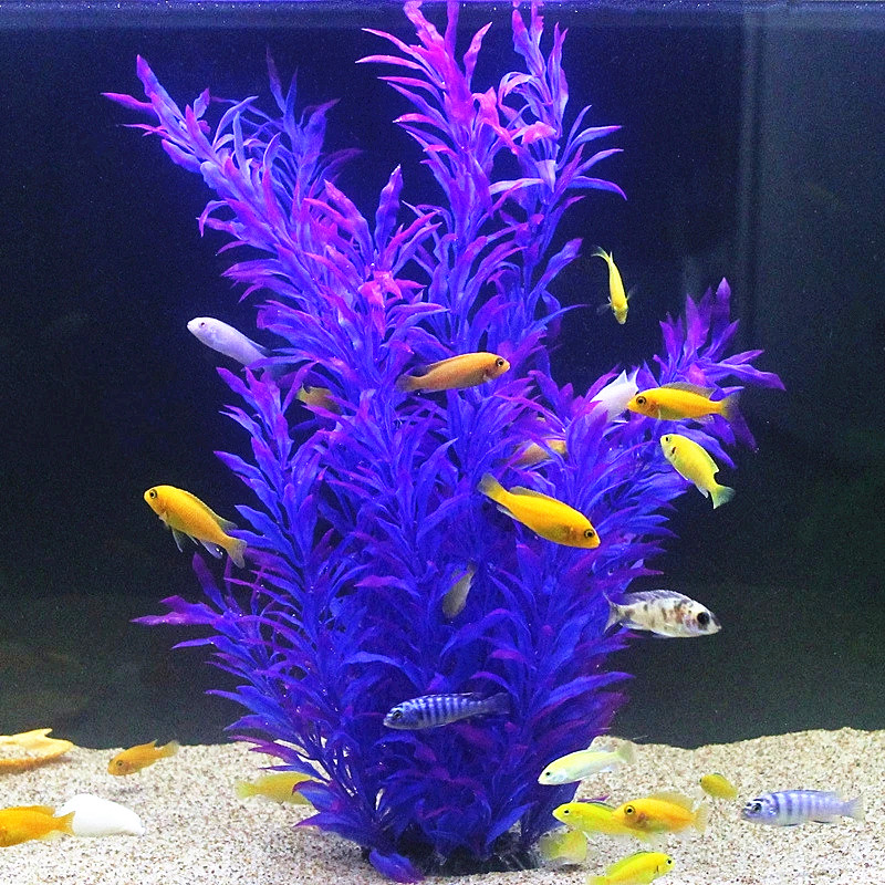 50CM Acquario artificiale Pian - Aquarium Fish Saltwater recensione e prezzo
