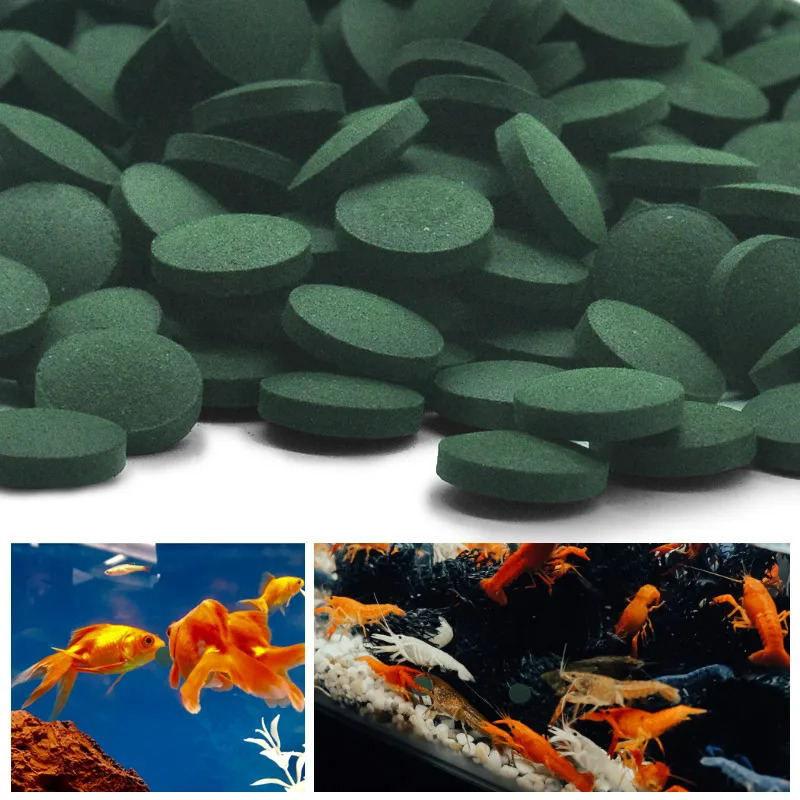 100-1500 Pezzi Compresse di Sp - Aquarium Fish Food recensione e prezzo