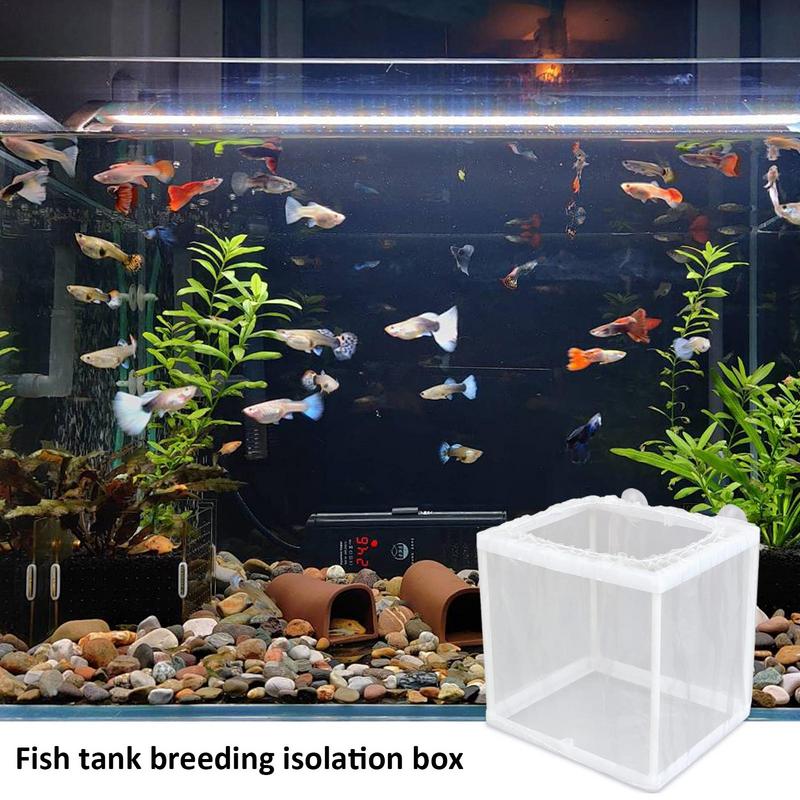 Scatola per allevamento di pes - Aquarium Fish Jar recensione e prezzo
