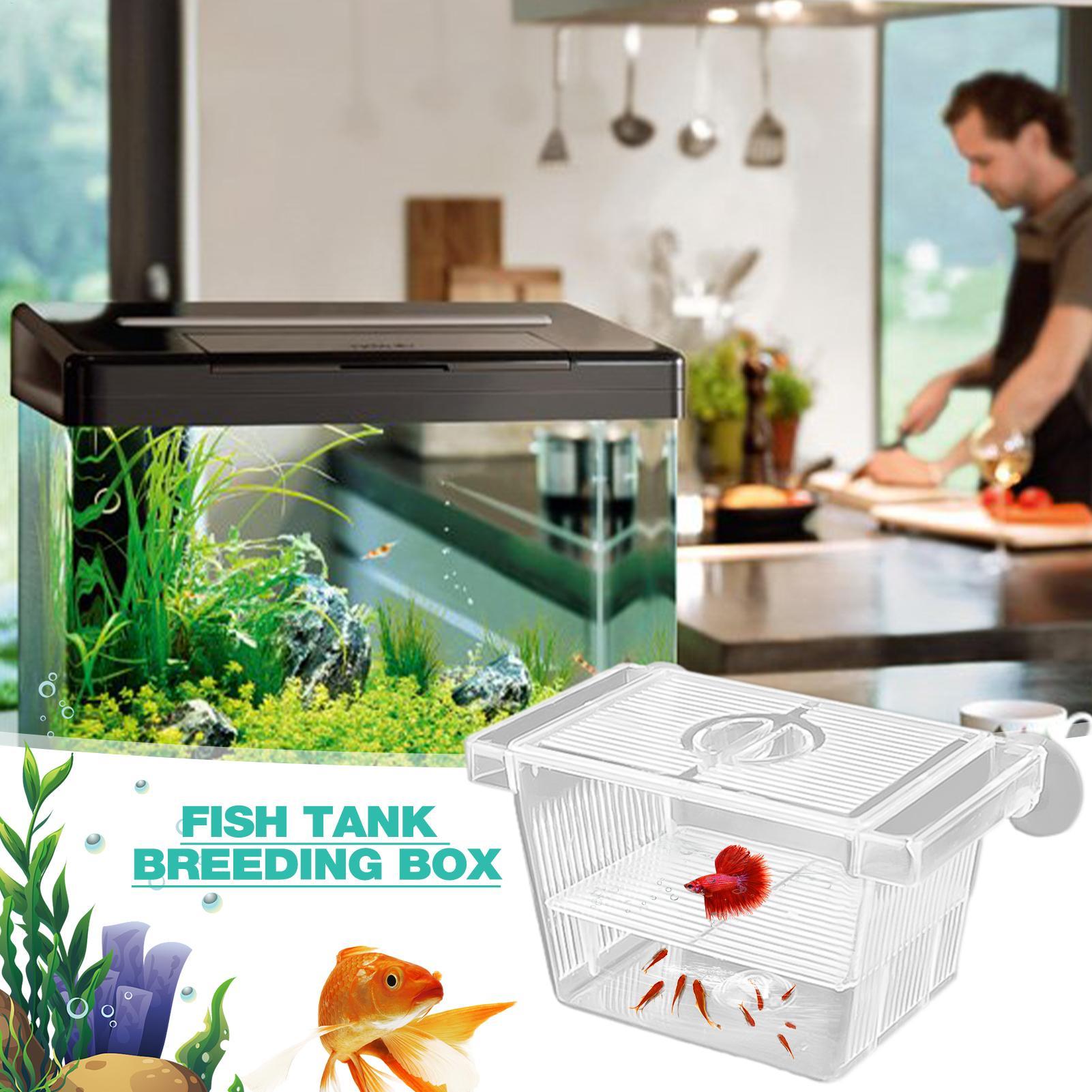 Scatola di Isolamento in Acril - Aquarium Fish Jar recensione e prezzo