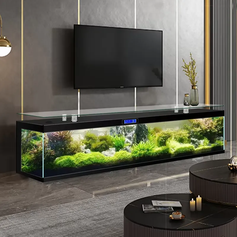 Acquario Quadrato da Terra di  - Aquarium Fish Low Maintenance recensione e prezzo