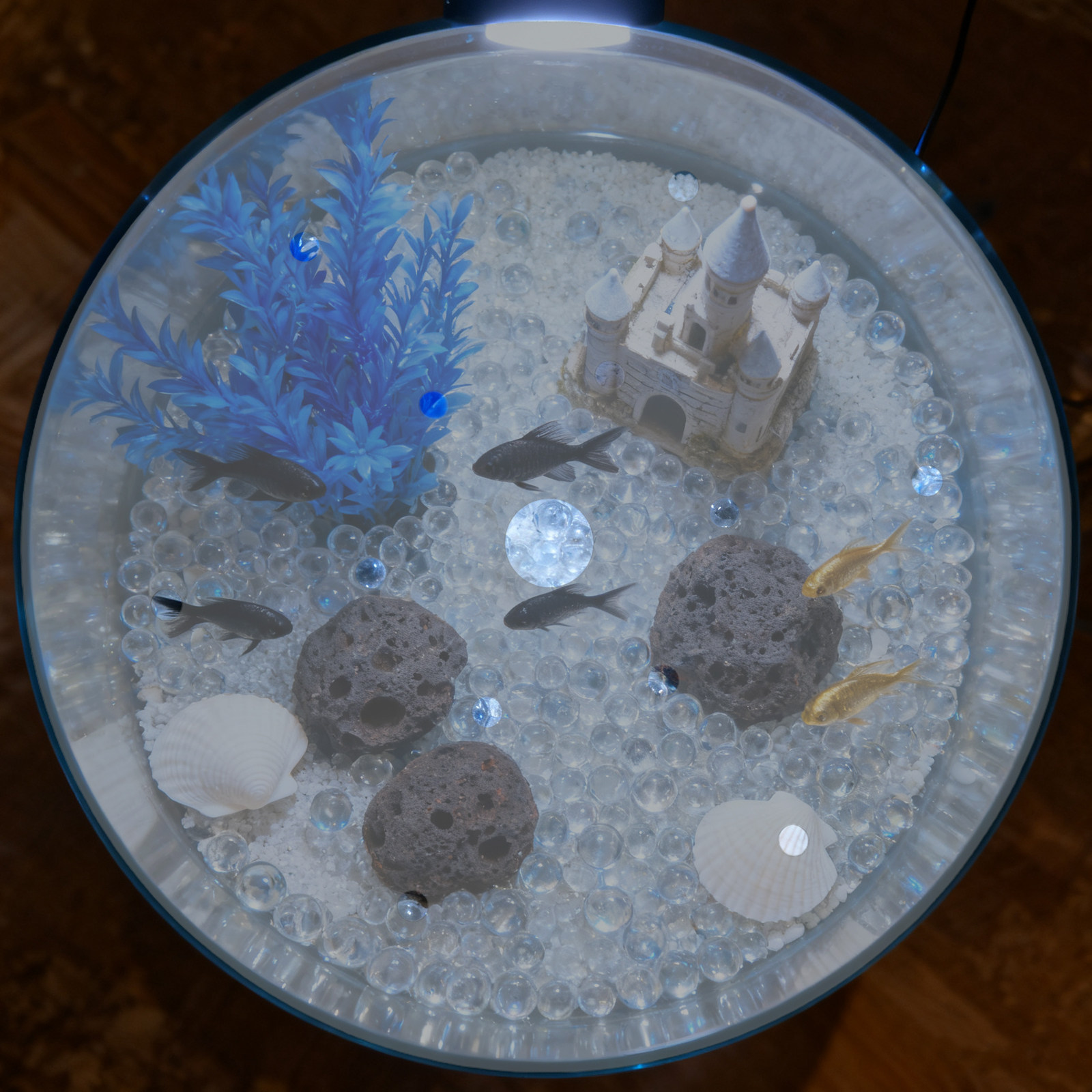 Coperchio Rotondo in Acrilico  - Aquarium Fish Jar recensione e prezzo